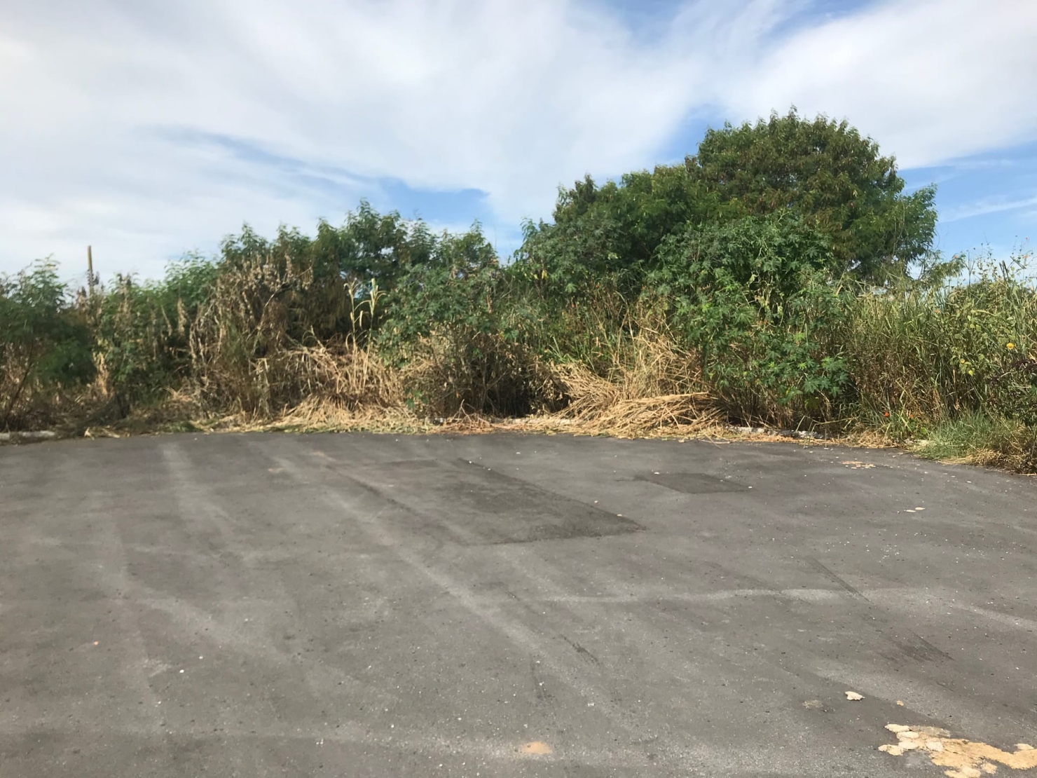 Terreno, 125 m² - Foto 1