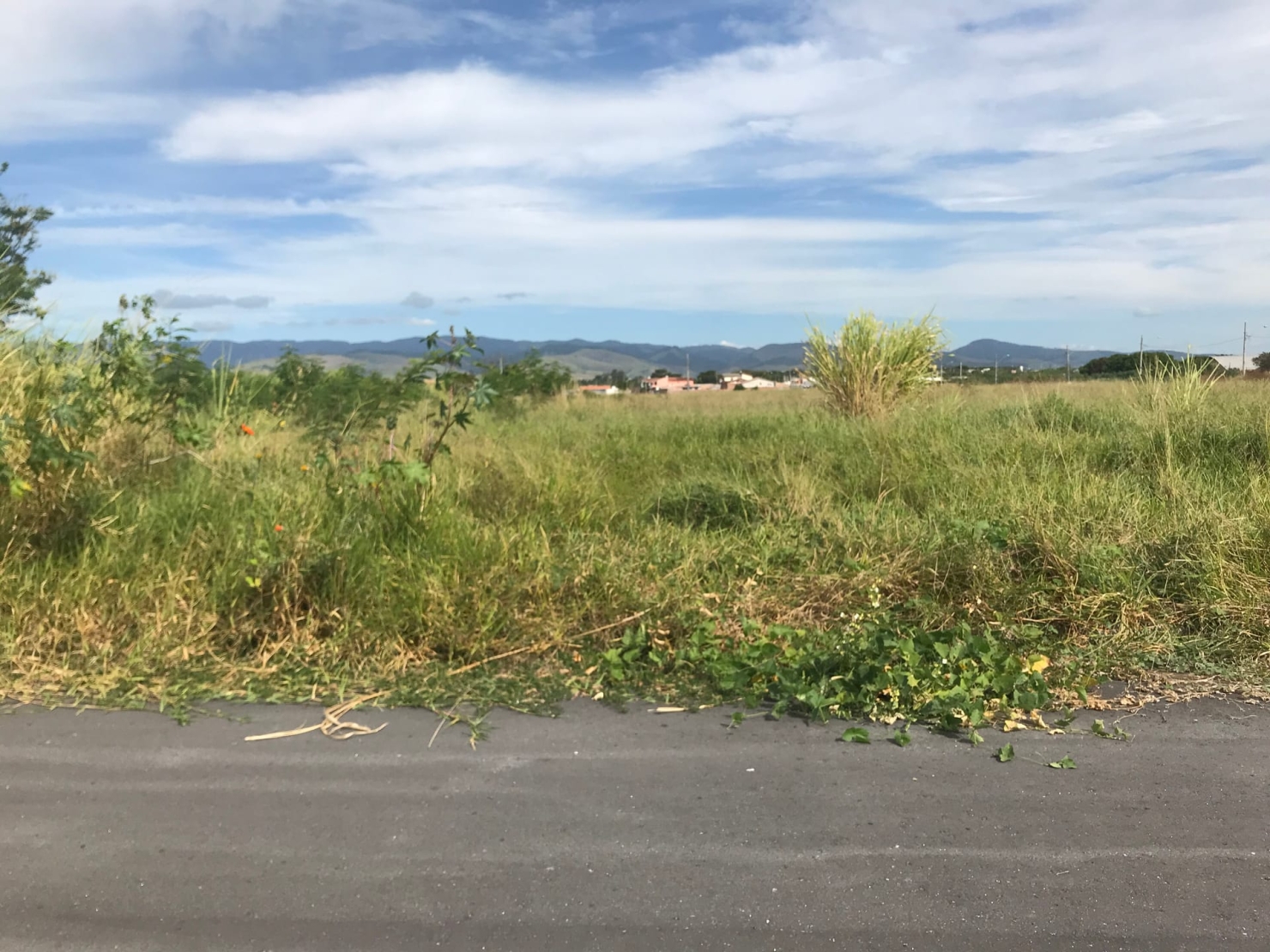 Terreno, 125 m² - Foto 2