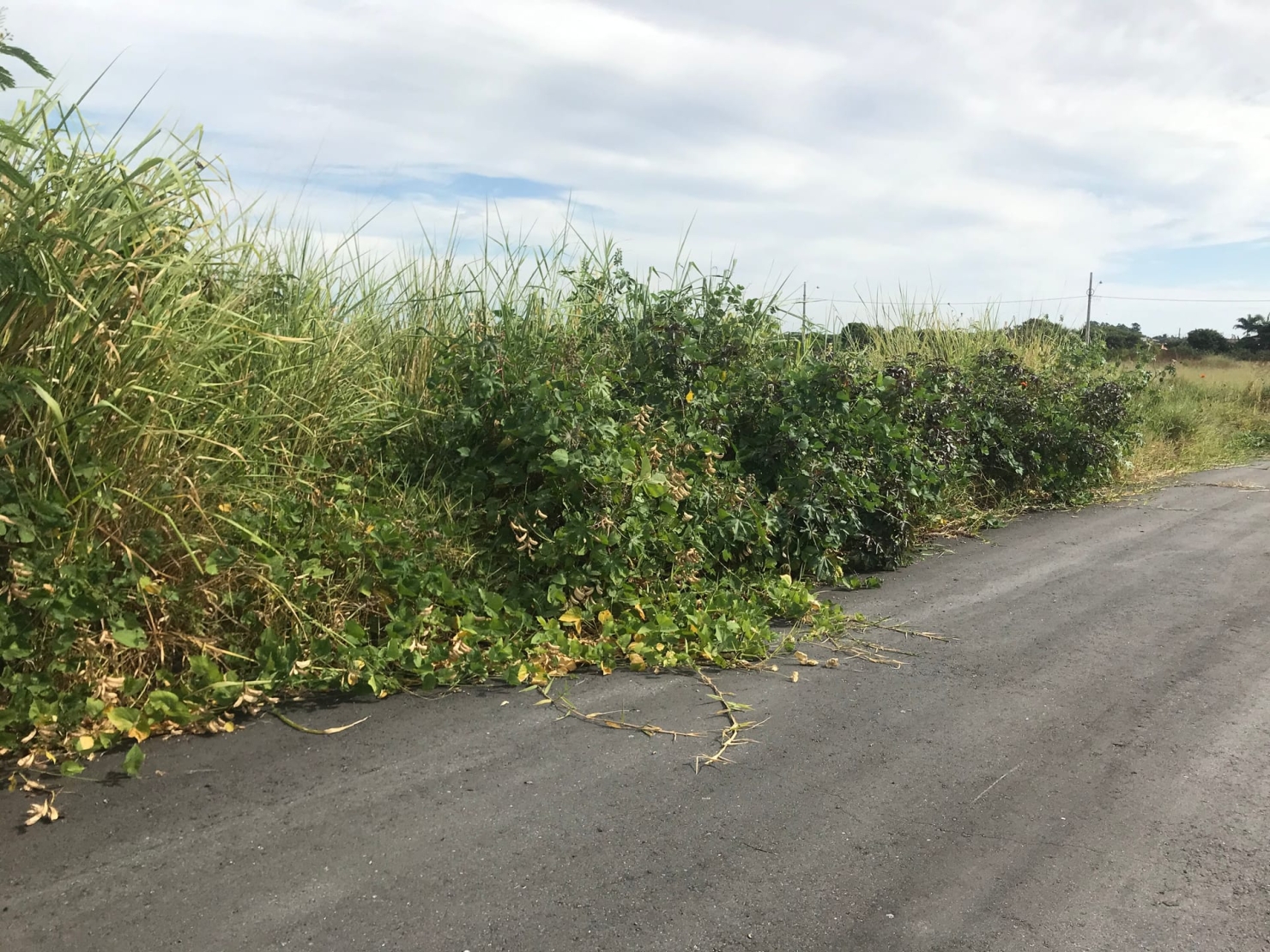 Terreno, 125 m² - Foto 4