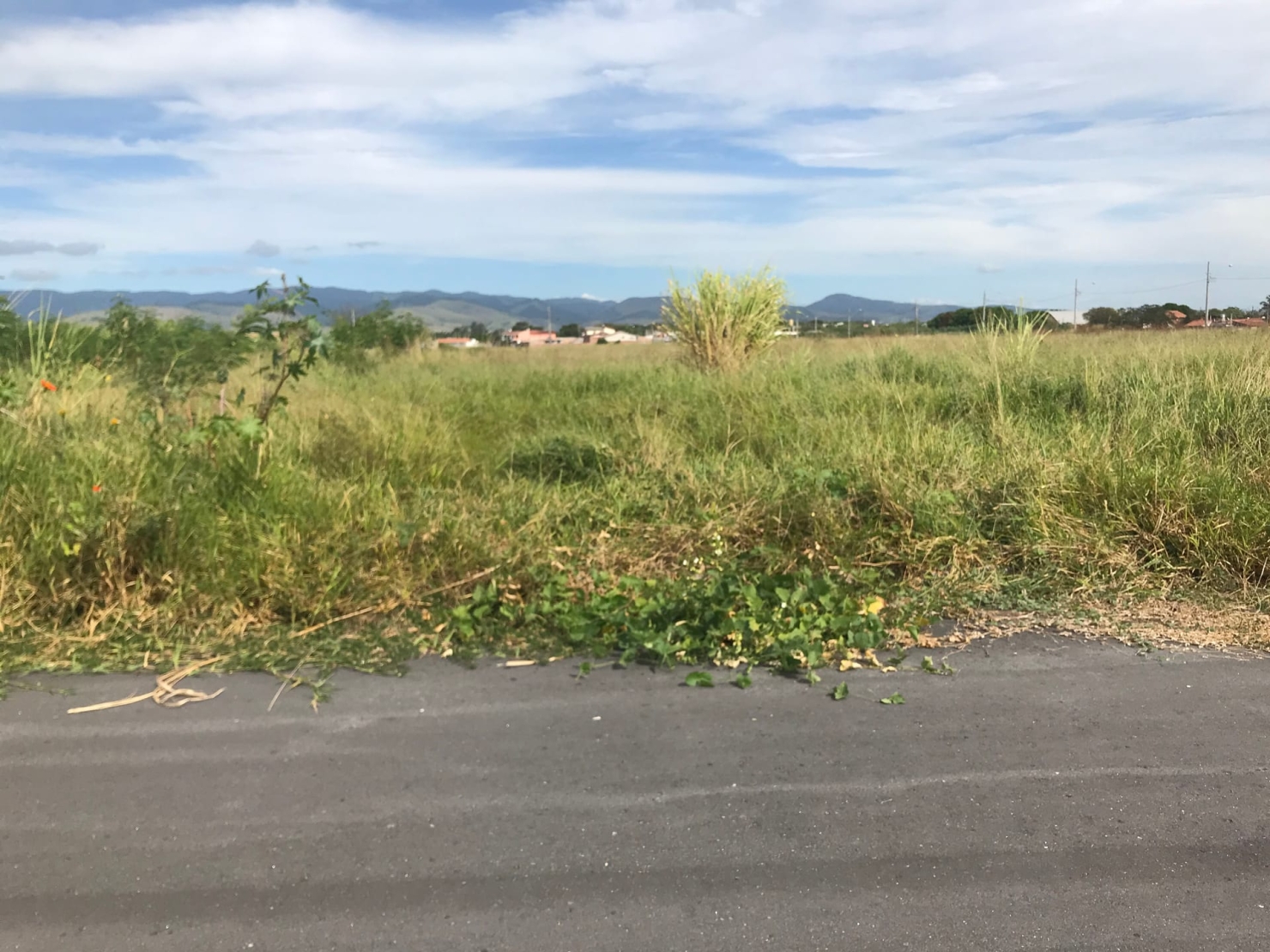 Terreno, 125 m² - Foto 5