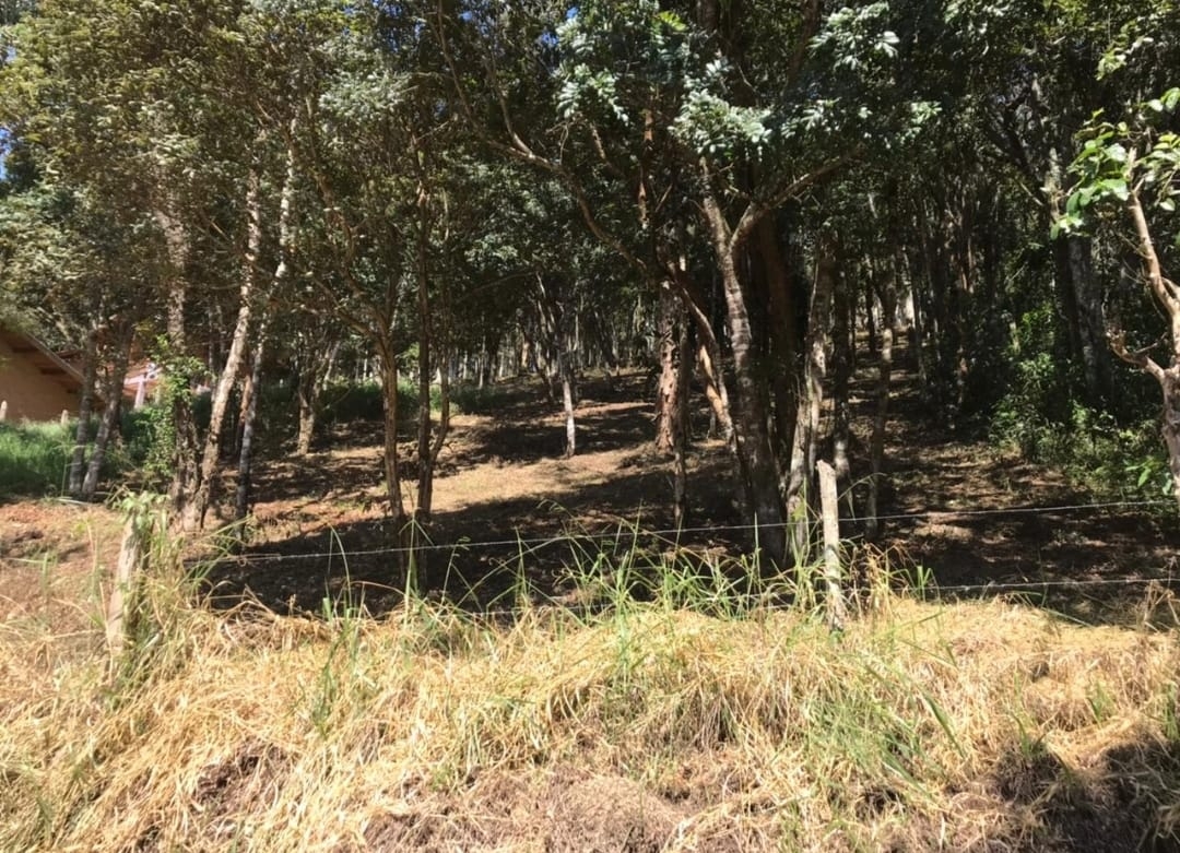 Terreno à venda, 1500m² - Foto 1