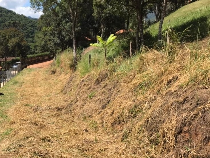 Terreno à venda, 1500m² - Foto 2