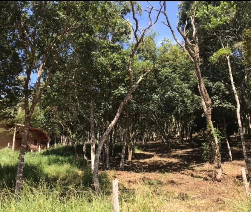 Terreno à venda, 1500m² - Foto 4