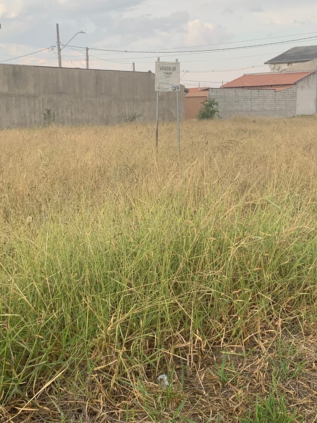 Terreno, 250 m² - Foto 2