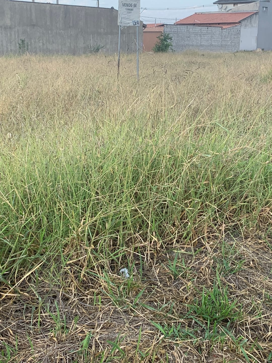 Terreno, 250 m² - Foto 4