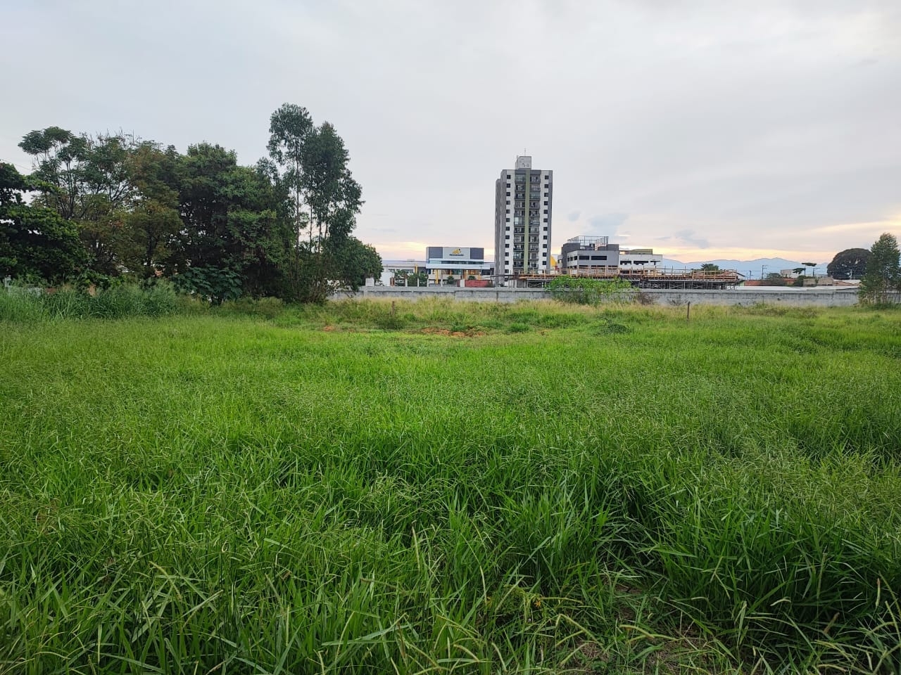 Terreno, 300 m² - Foto 5