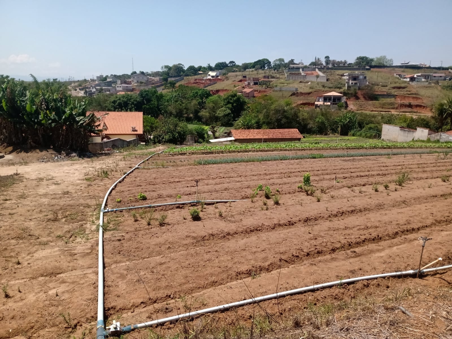 Terreno à venda com 2 quartos, 150m² - Foto 2