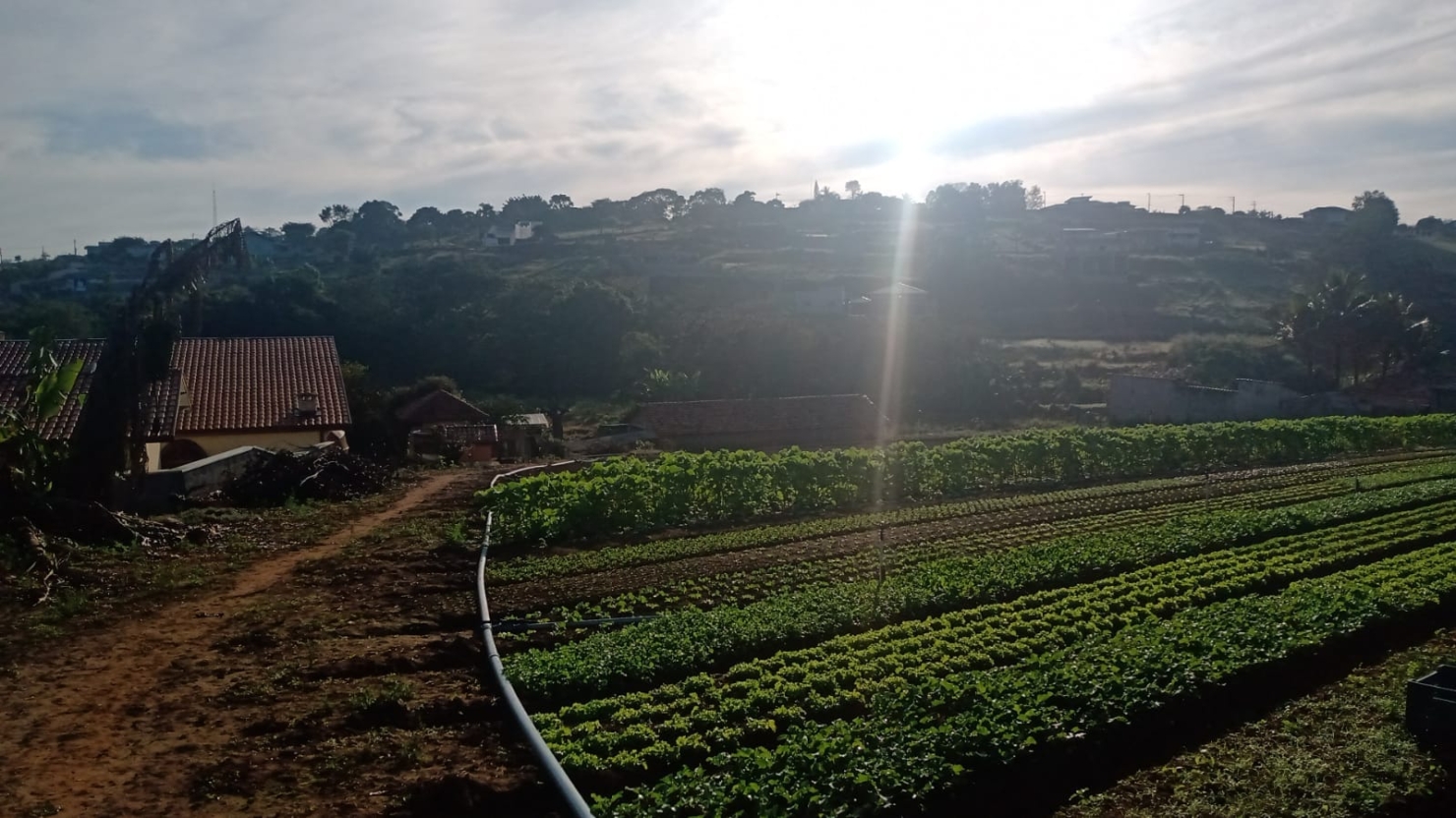 Terreno à venda com 2 quartos, 150m² - Foto 4