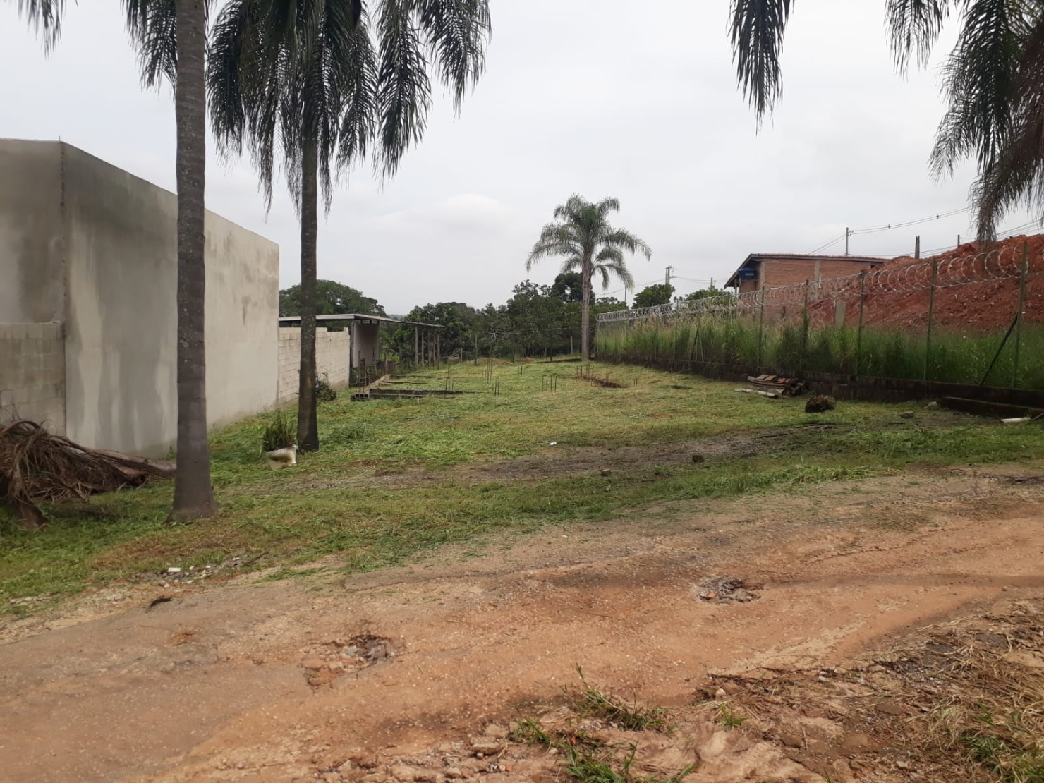 Terreno à venda - Foto 1