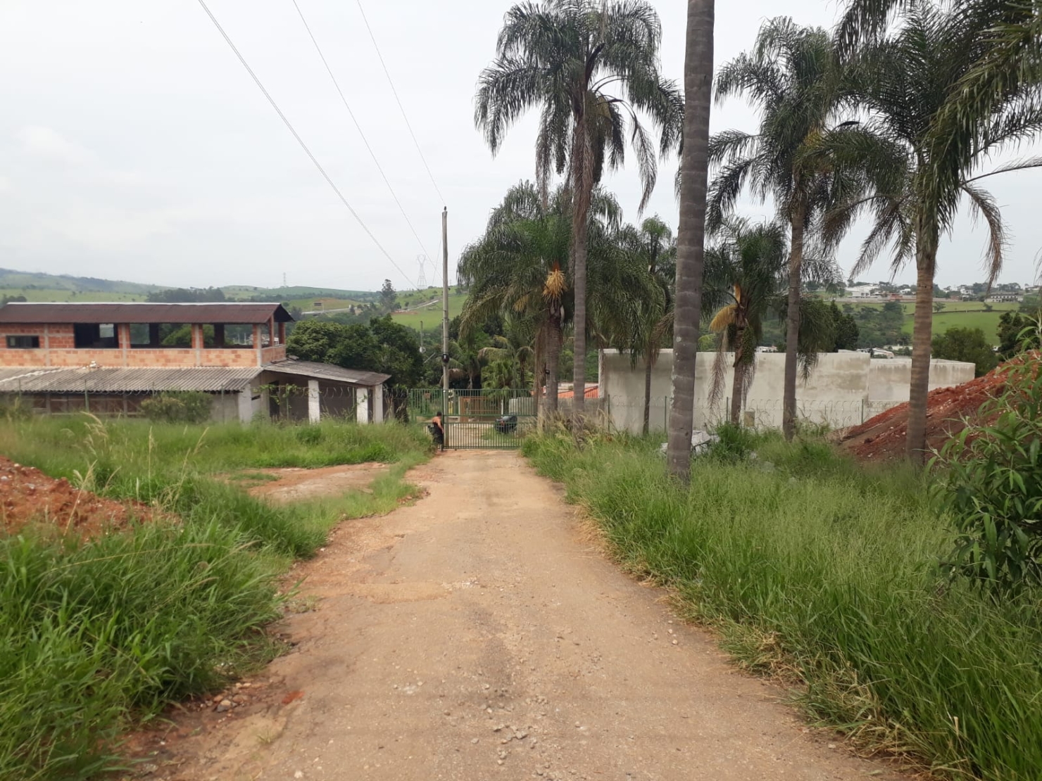 Terreno à venda - Foto 3