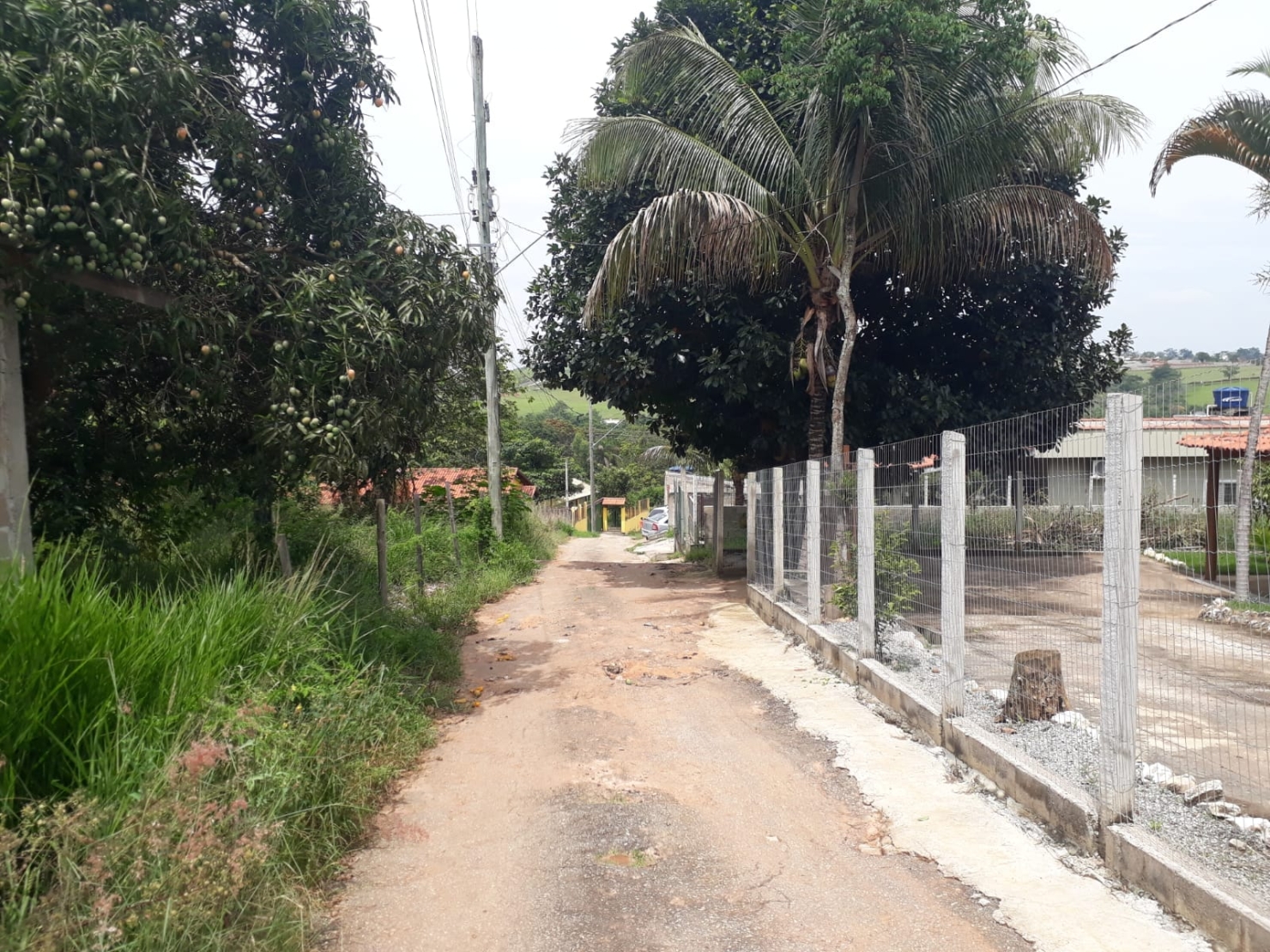 Terreno à venda - Foto 5