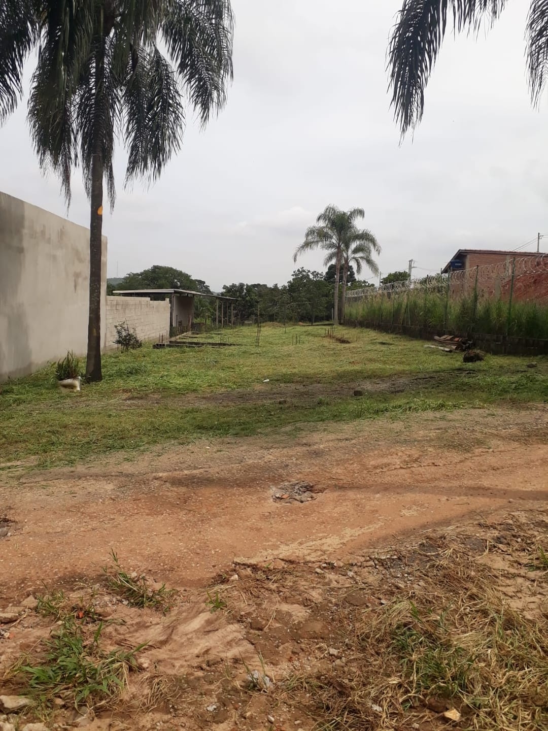 Terreno à venda - Foto 6
