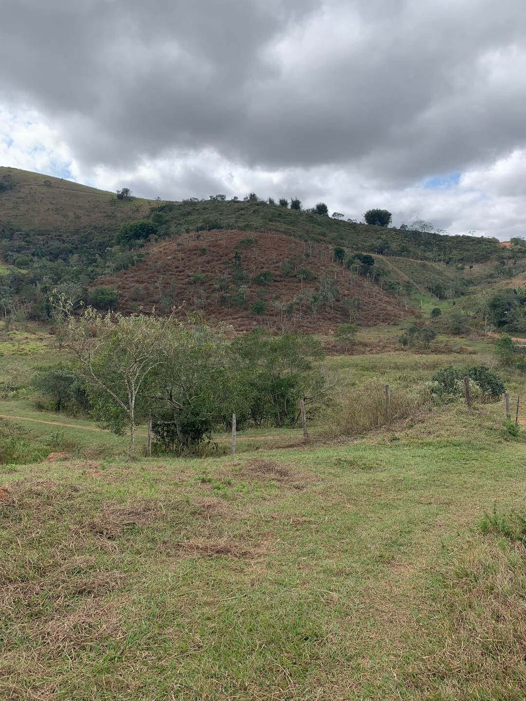 Terreno, 3 hectares - Foto 1