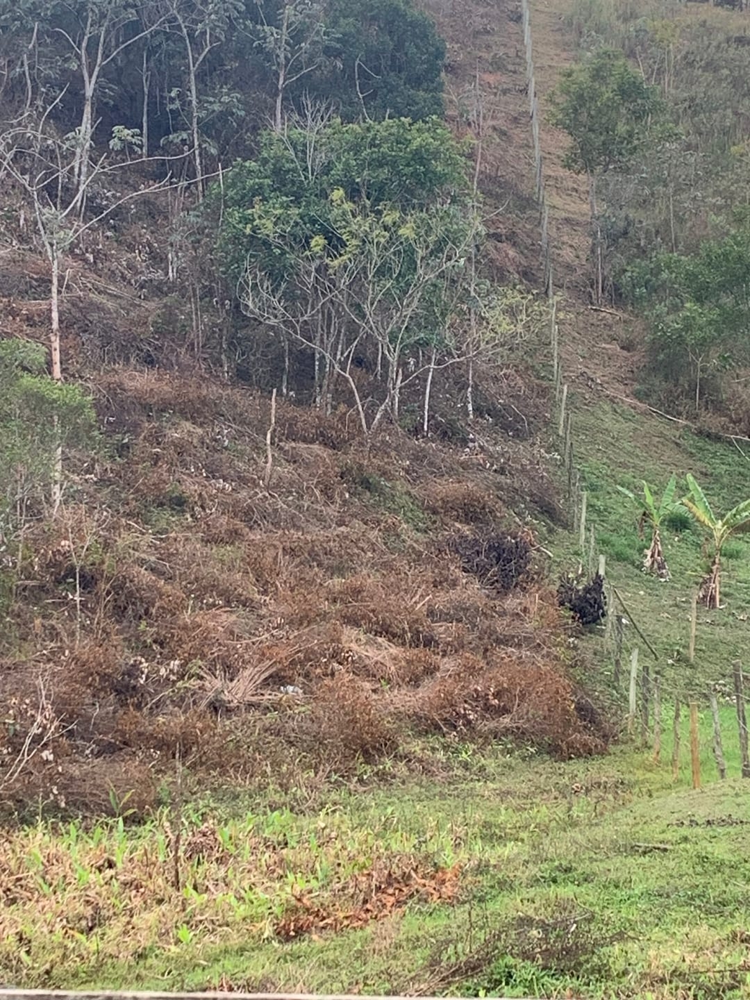 Terreno, 3 hectares - Foto 9