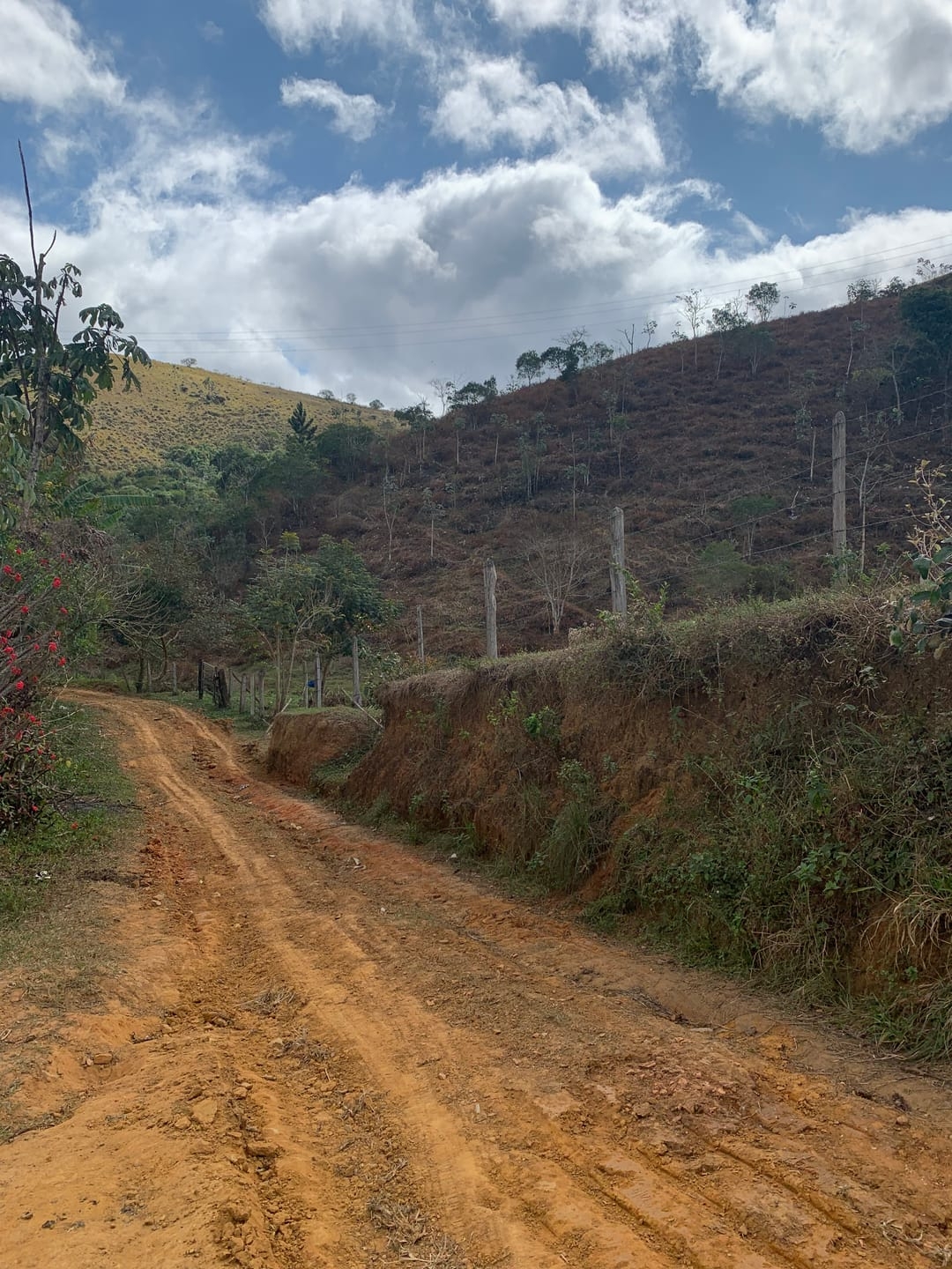 Terreno, 3 hectares - Foto 11