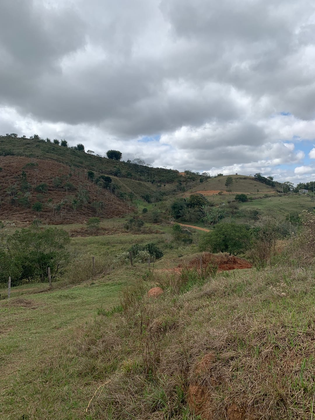 Terreno, 3 hectares - Foto 12