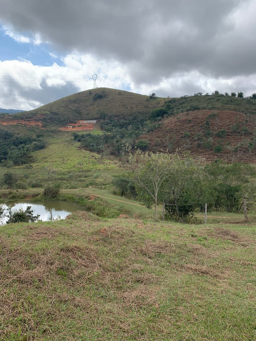 Terreno, 3 hectares - Foto 13