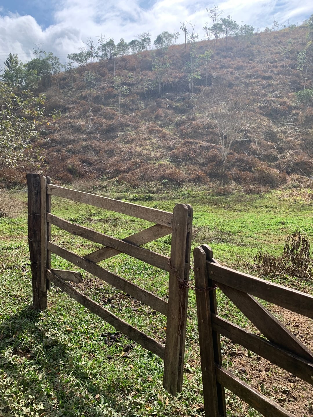 Terreno, 3 hectares - Foto 14