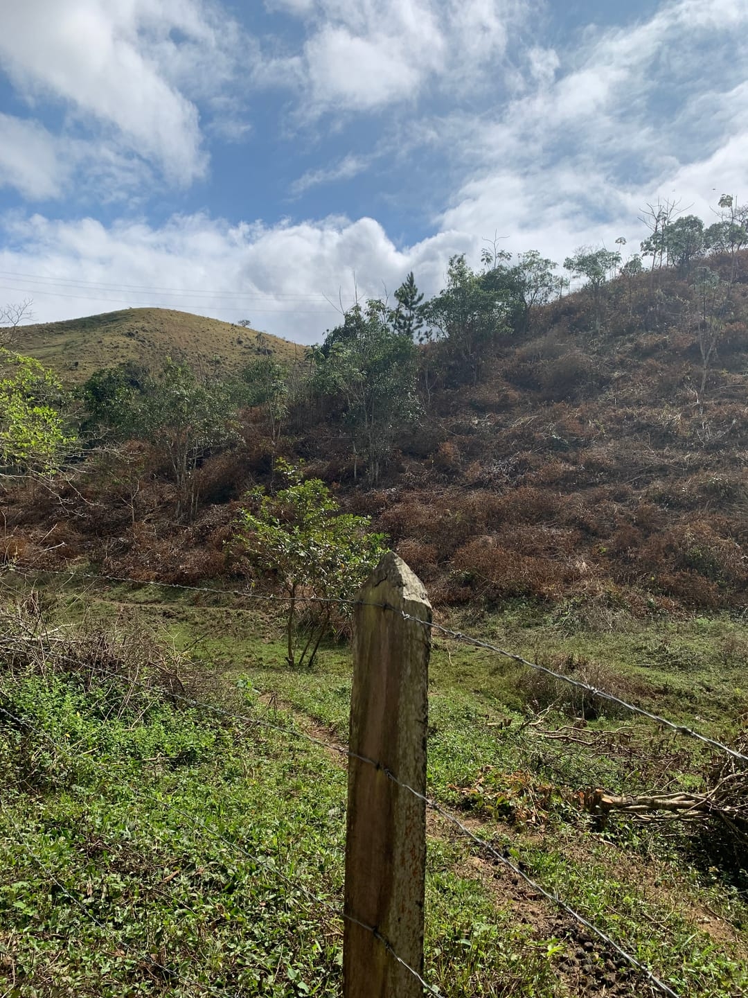 Terreno, 3 hectares - Foto 15