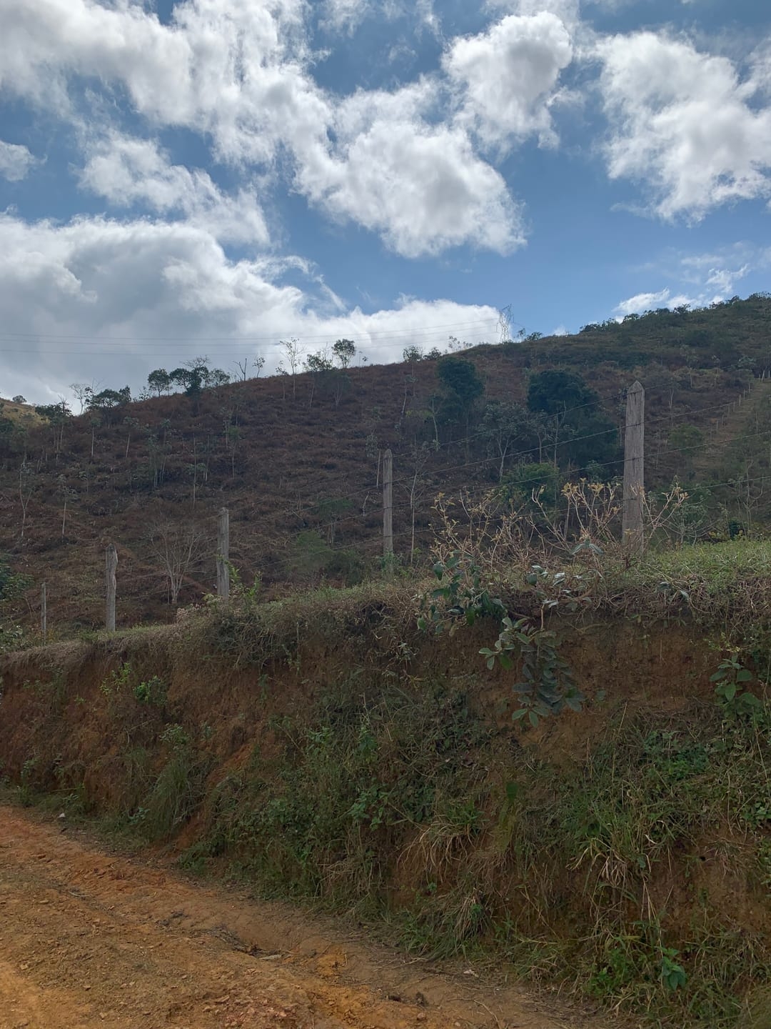 Terreno, 3 hectares - Foto 16