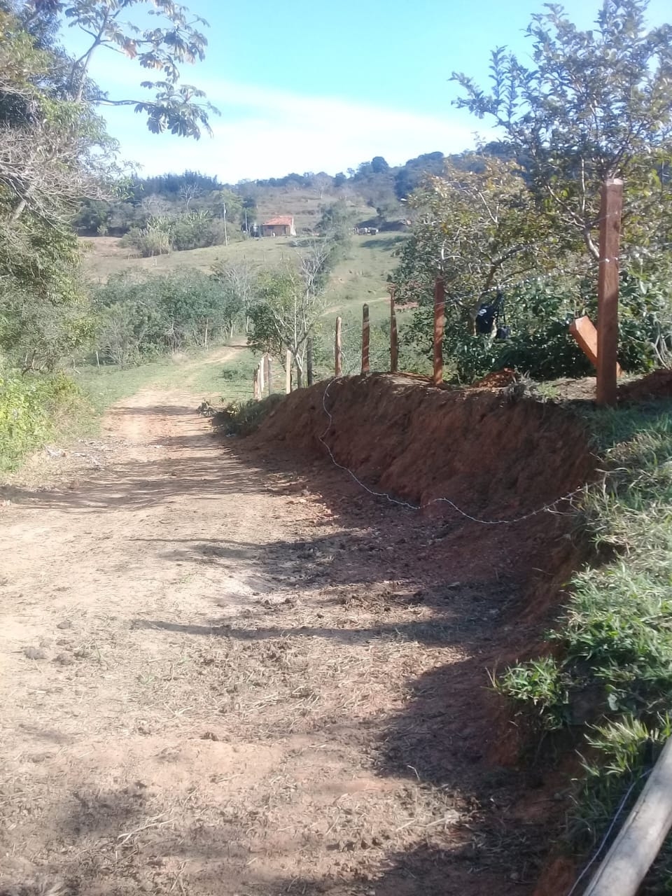 Terreno, 3 hectares - Foto 17