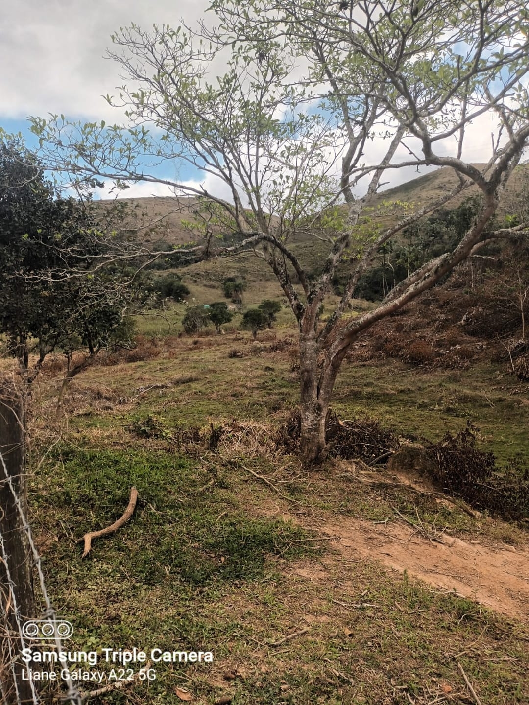 Terreno, 3 hectares - Foto 19