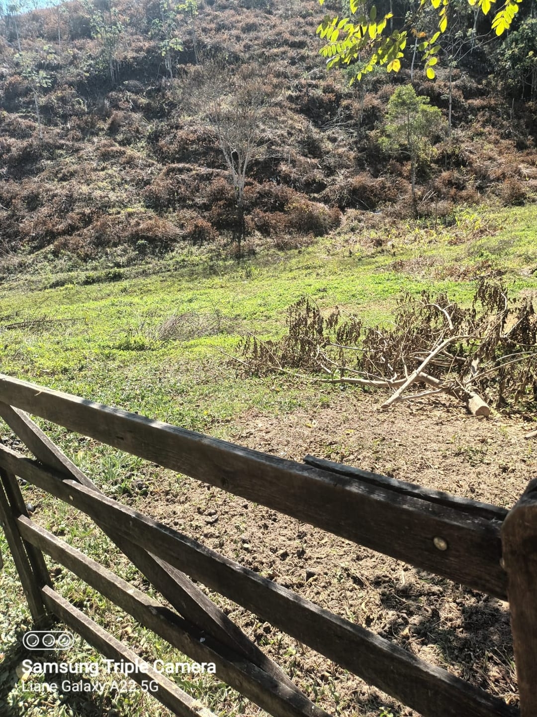 Terreno, 3 hectares - Foto 21