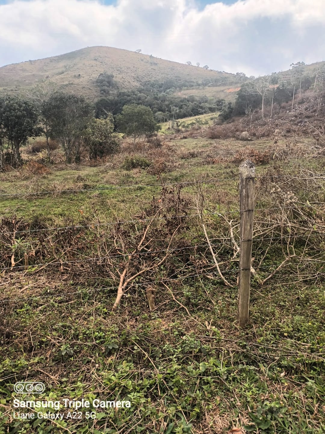 Terreno, 3 hectares - Foto 22