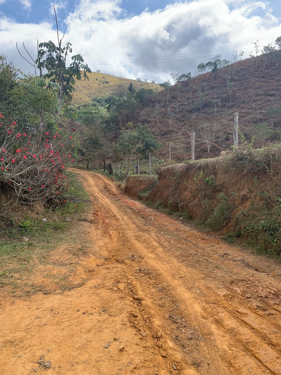 Terreno, 3 hectares - Foto 24