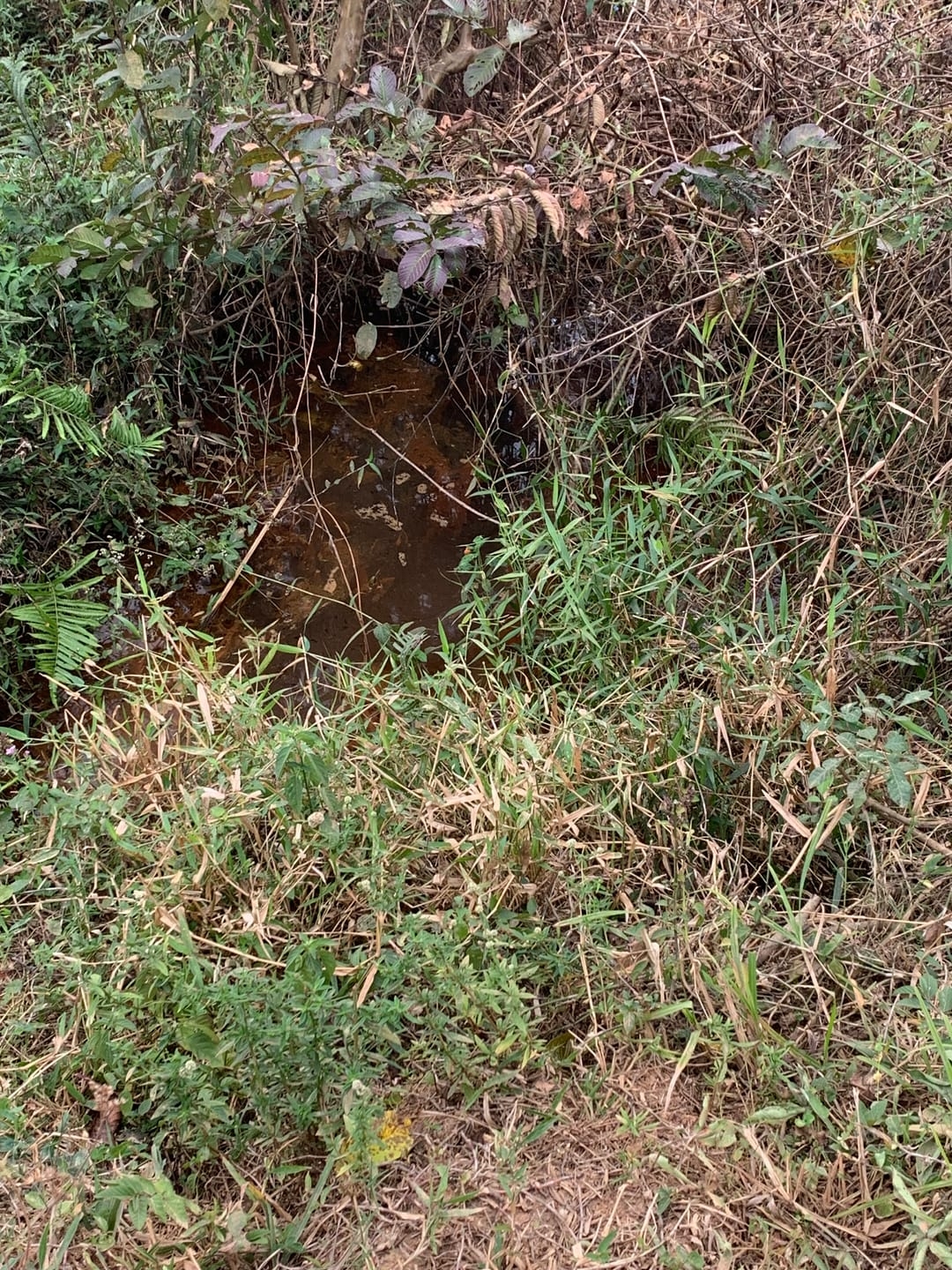 Terreno, 3 hectares - Foto 26