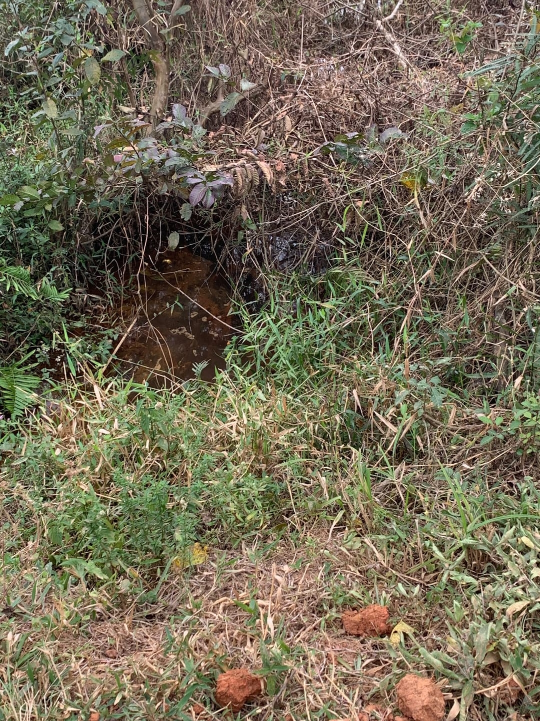 Terreno, 3 hectares - Foto 27