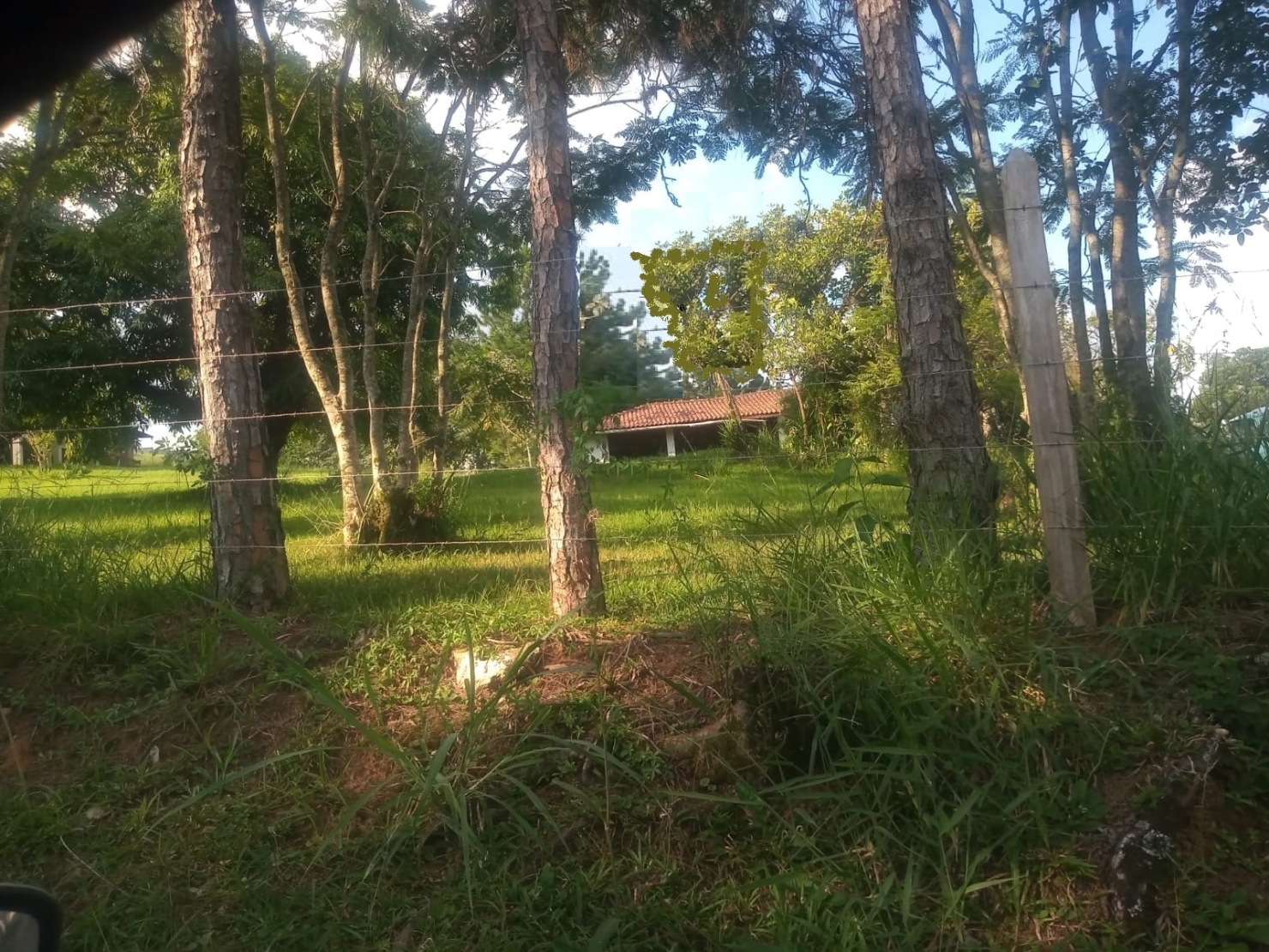 Terreno, 2600 m² - Foto 2