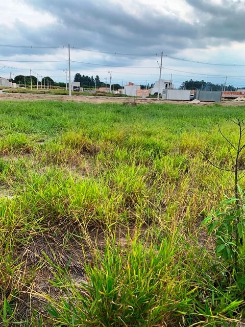 Terreno à venda, 125m² - Foto 2