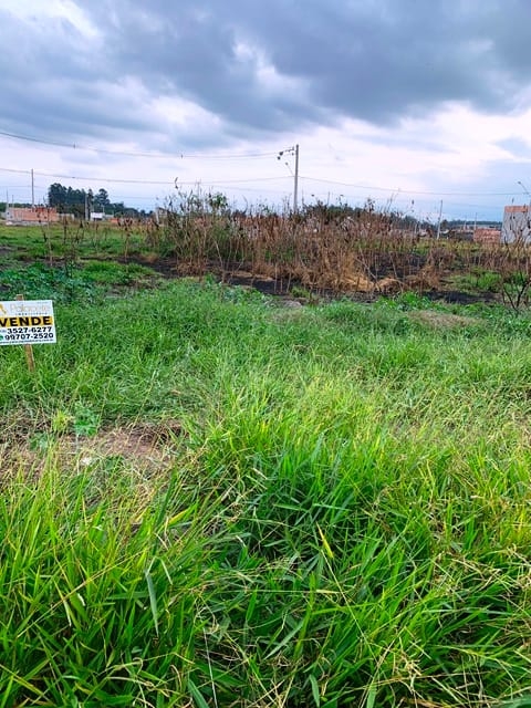 Terreno, 125 m² - Foto 3