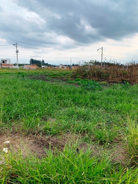 Terreno à venda, 125m² - Foto 3