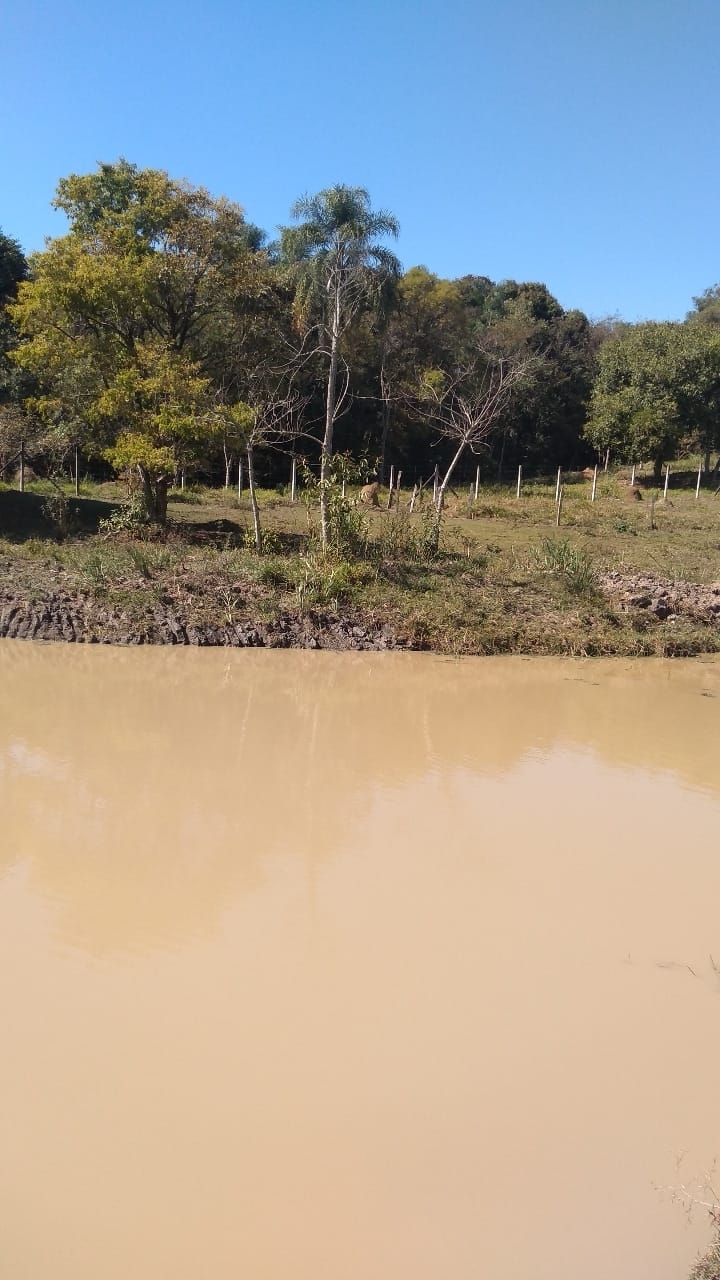 Terreno à venda, 4000m² - Foto 5