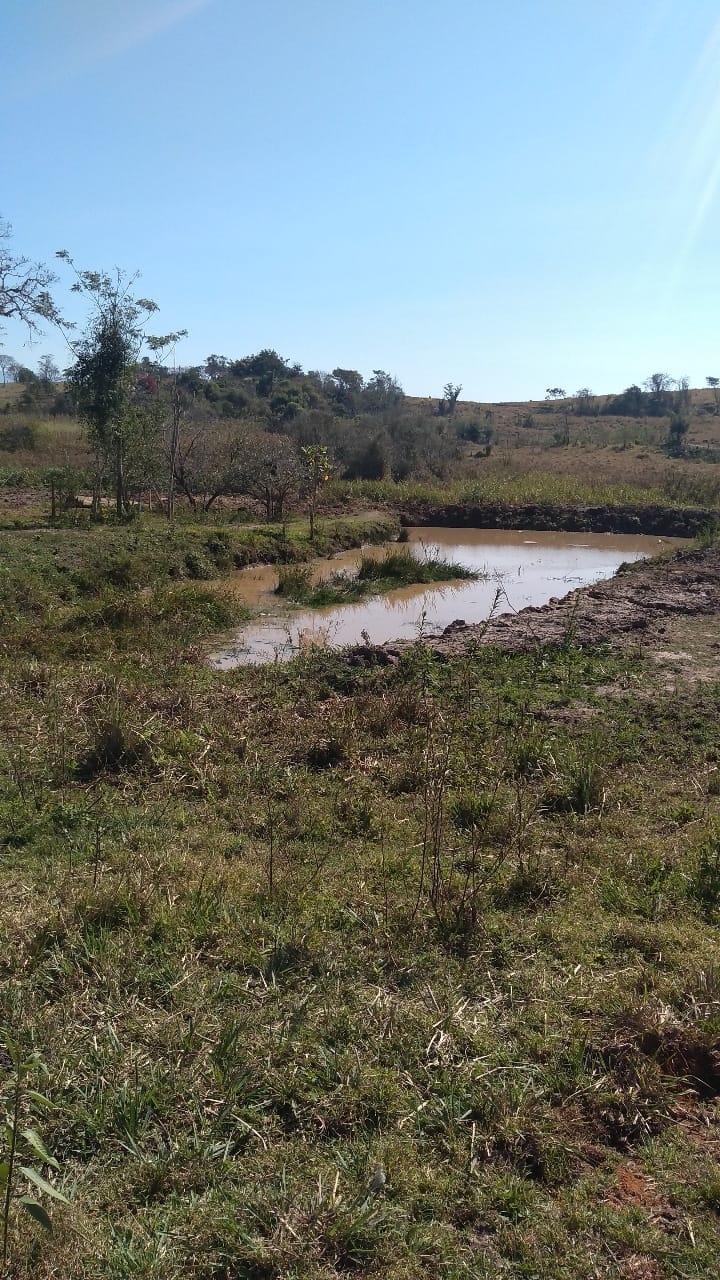 Terreno à venda, 4000m² - Foto 6