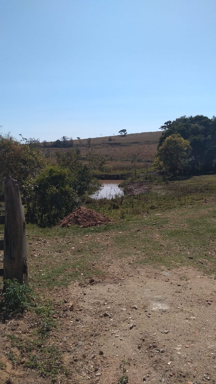 Terreno à venda, 4000m² - Foto 7