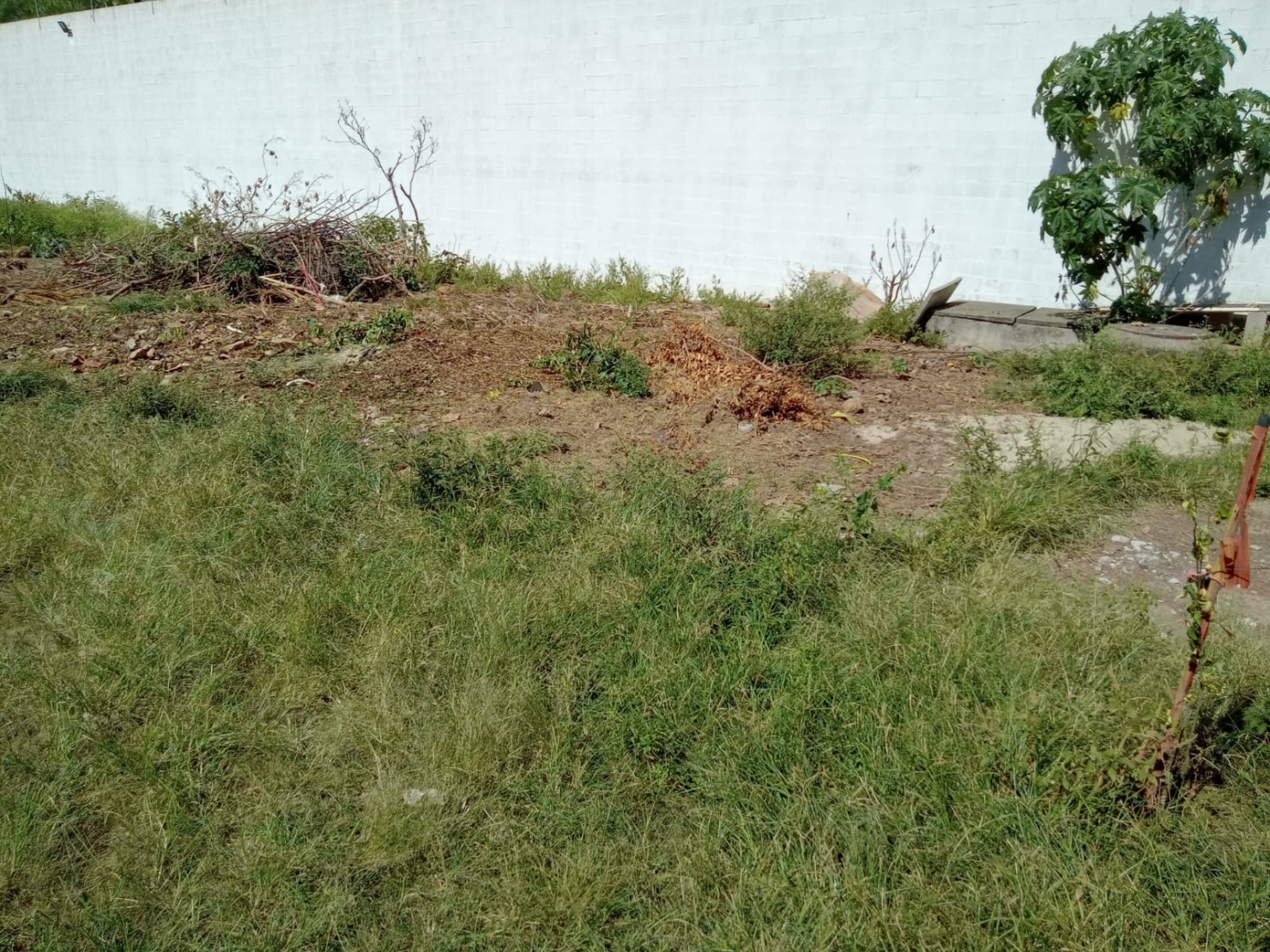 Terreno, 250 m² - Foto 1