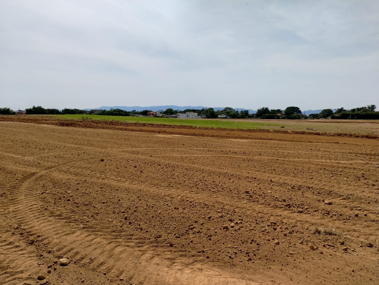 Terreno à venda, 176m² - Foto 12