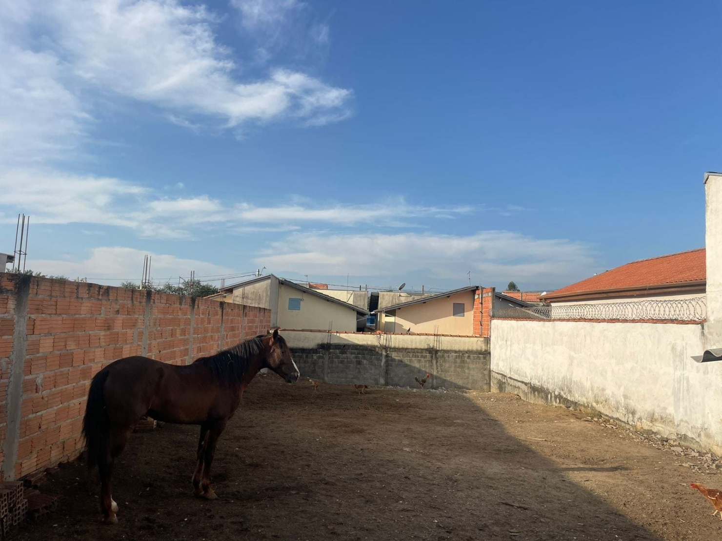 Terreno, 250 m² - Foto 3