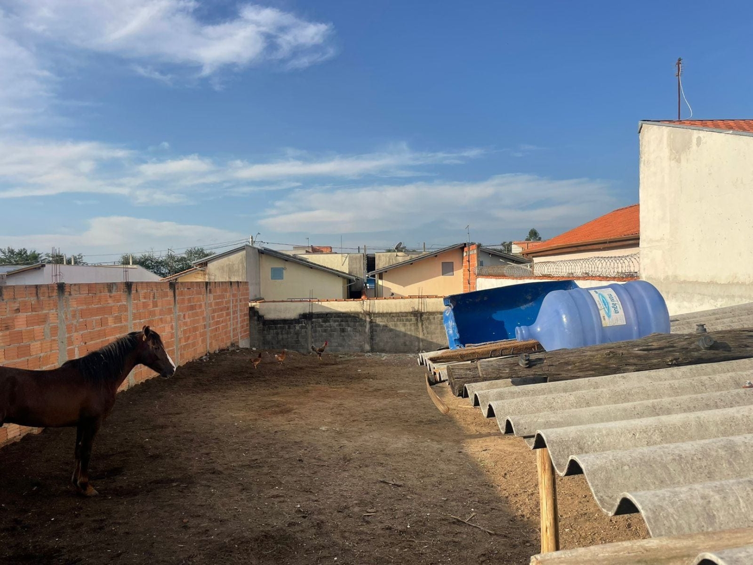 Terreno, 250 m² - Foto 4