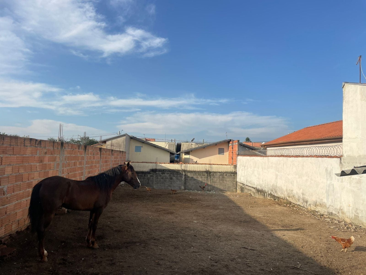 Terreno, 250 m² - Foto 5