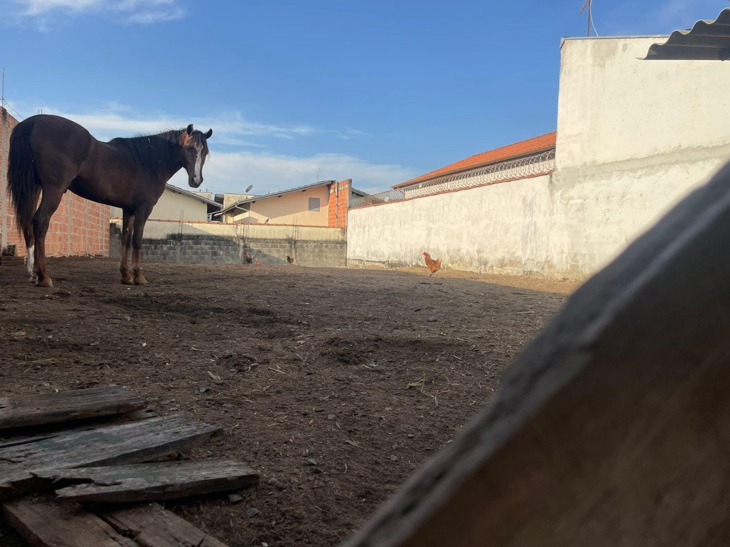Terreno, 250 m² - Foto 6