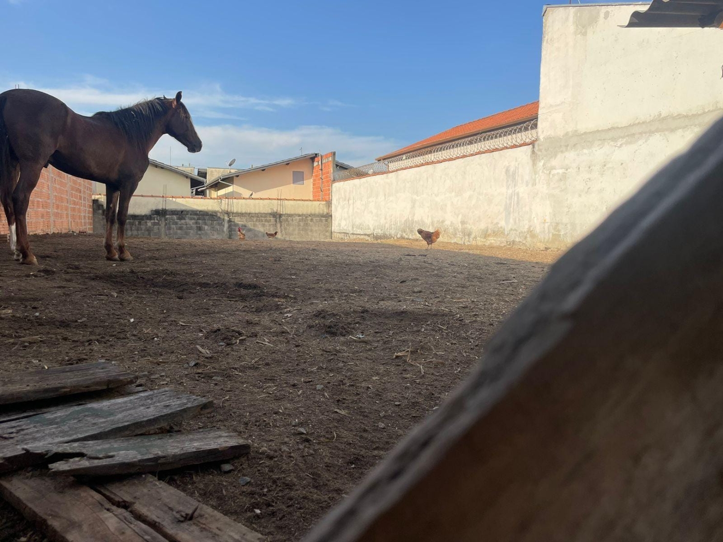 Terreno, 250 m² - Foto 7