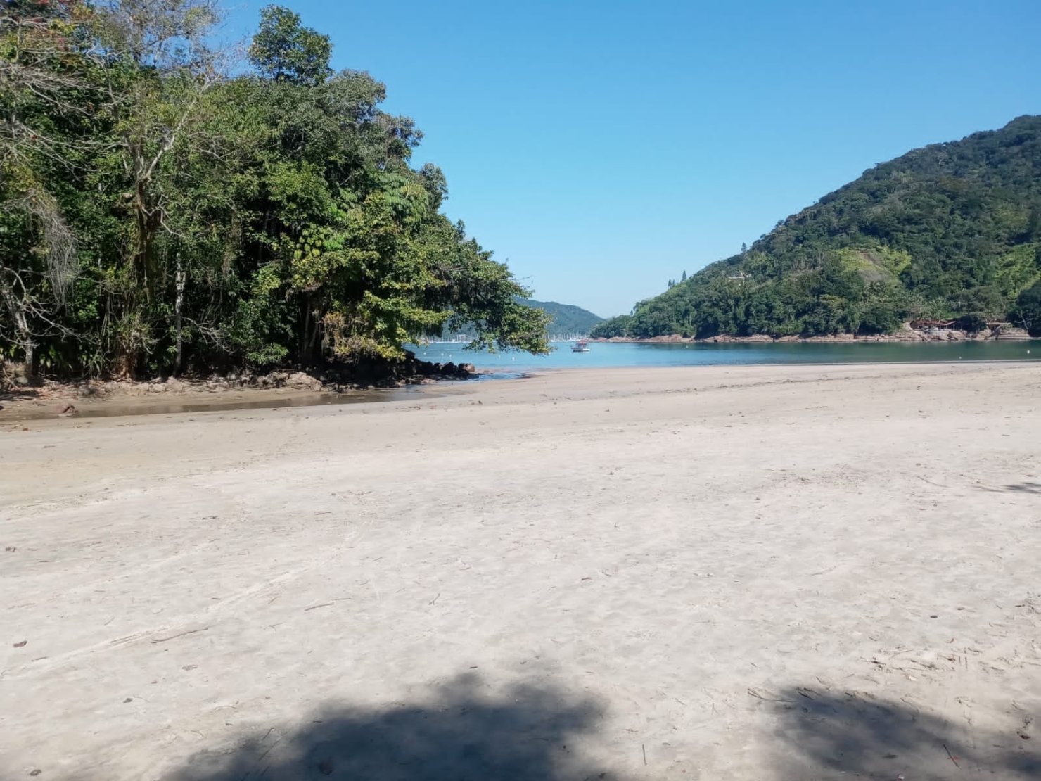 Terreno, 1081 m² - Foto 3