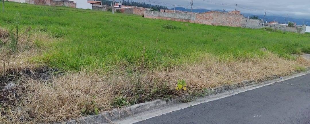 Terreno à venda, 250m² - Foto 3