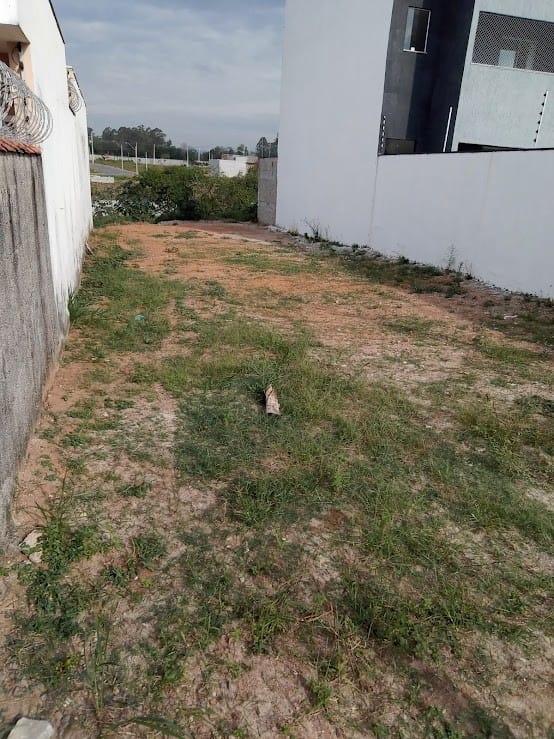 Terreno, 217 m² - Foto 2