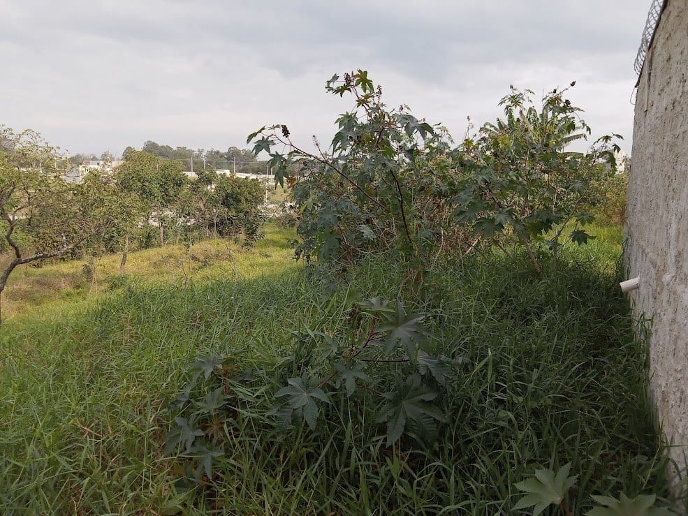 Terreno, 217 m² - Foto 16