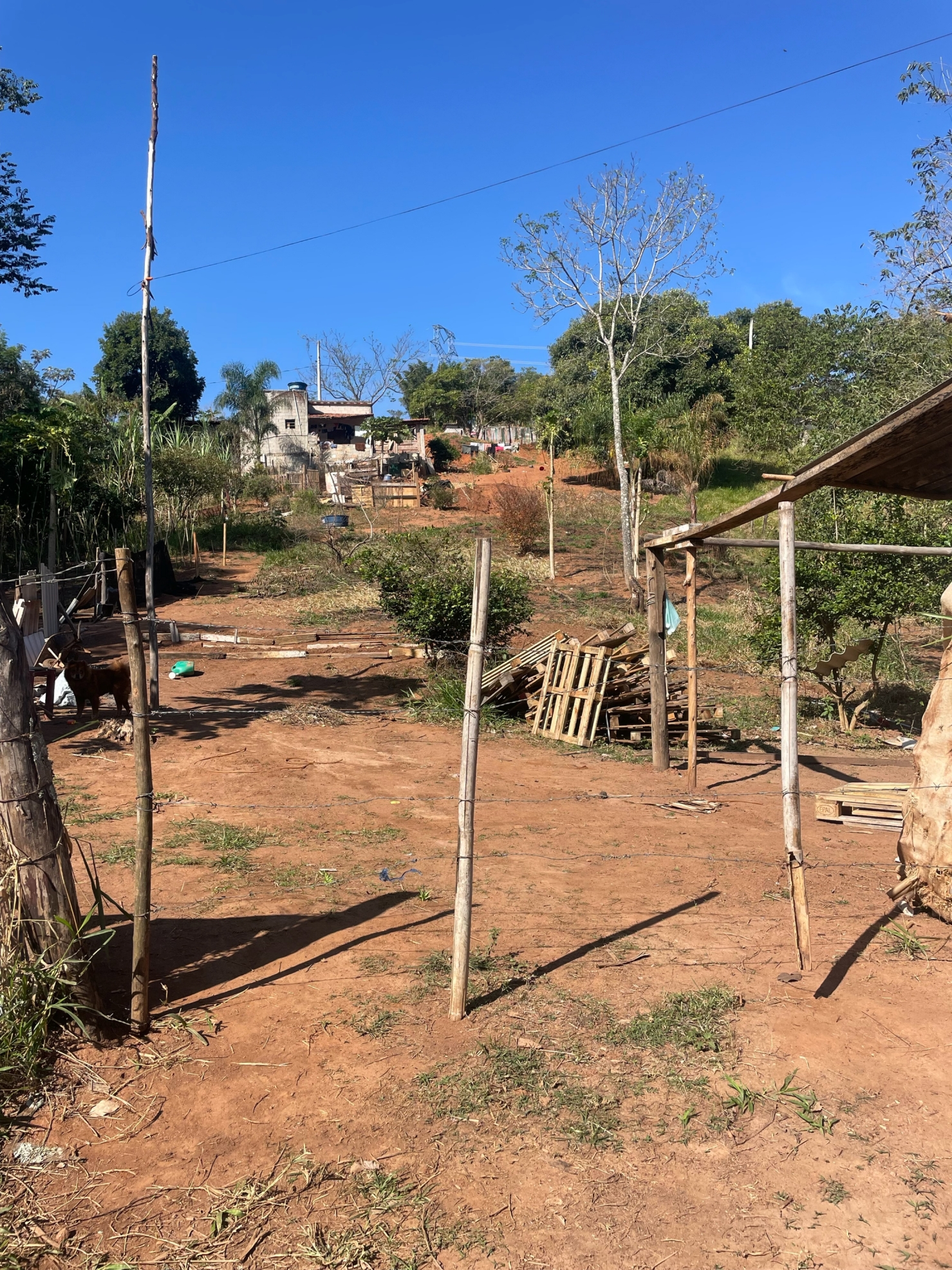 Terreno à venda e aluguel, 100m² - Foto 9